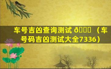 车号吉凶查询测试 🐒 （车号码吉凶测试大全7336）